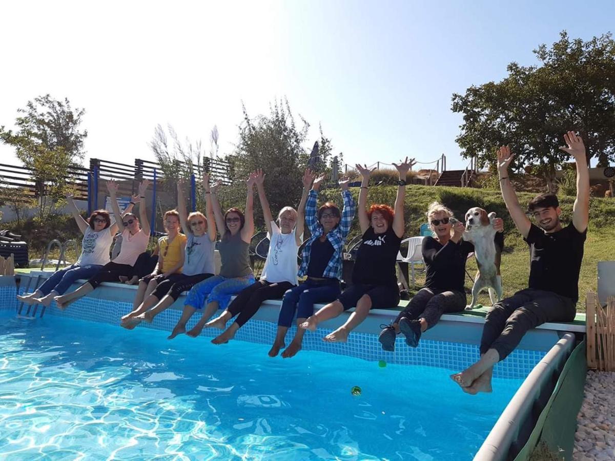 Pensiunea 4 Salcii Baltenii de Sus Bagian luar foto