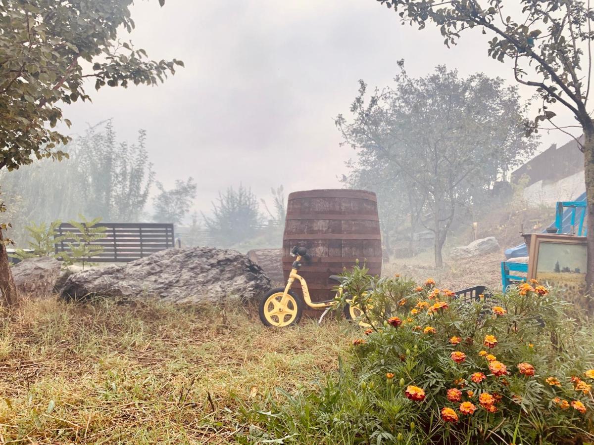 Pensiunea 4 Salcii Baltenii de Sus Bagian luar foto