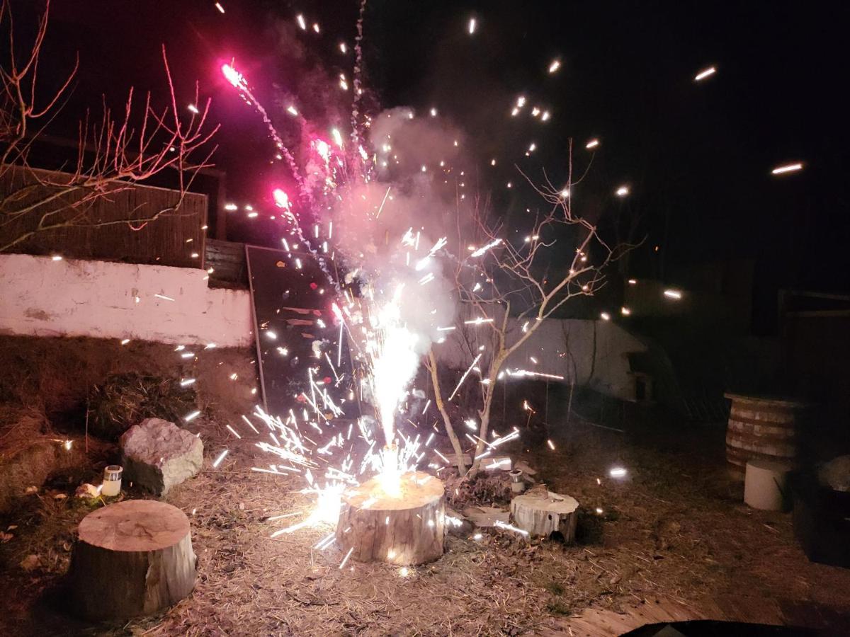 Pensiunea 4 Salcii Baltenii de Sus Bagian luar foto